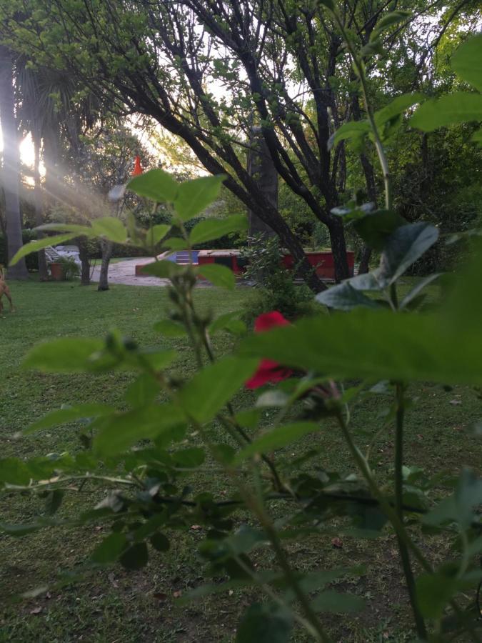 La Union Casa De Huespedes El Trebol De Ezeiza旅馆 外观 照片